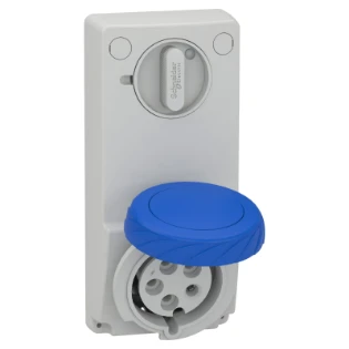 Schneider Electric - CEE-contactdoos uitschakelbaar, beveiligd (IEC 60309) - 82092 82092 6143966