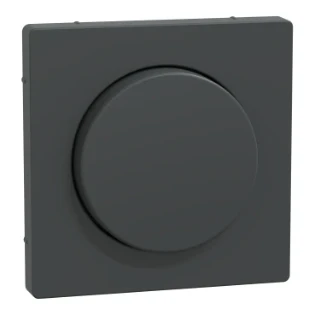 Schneider Electric - Bedieningselement /centraalplaat schakelmateriaal - MTN5250-6034 MTN5250-6034 6164202