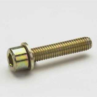 Eaton - Schroef/bout - CIL.SCREW_6X50_L24_B6K 1071690 6361577