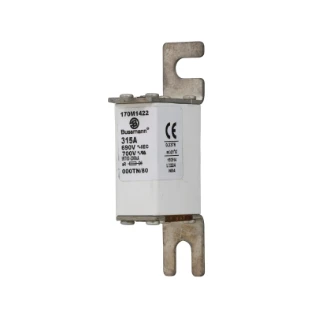 Eaton - HRC zekering - FUSE 315A 690V 000TN/80 AR UC 170M1422 6378372