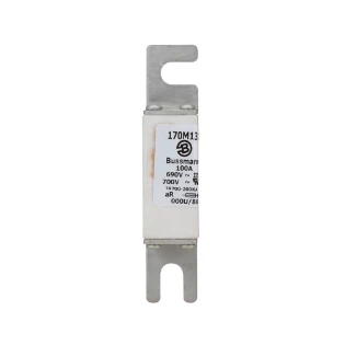 Eaton - HRC zekering - FUSE 100A 690V 000U/80 AR UC 170M1317 6420105