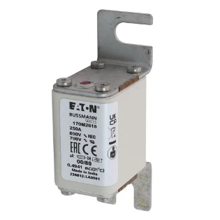 Eaton - HRC zekering - FUSE 250A 690V 00/80 AR UR 170M2618 6421186