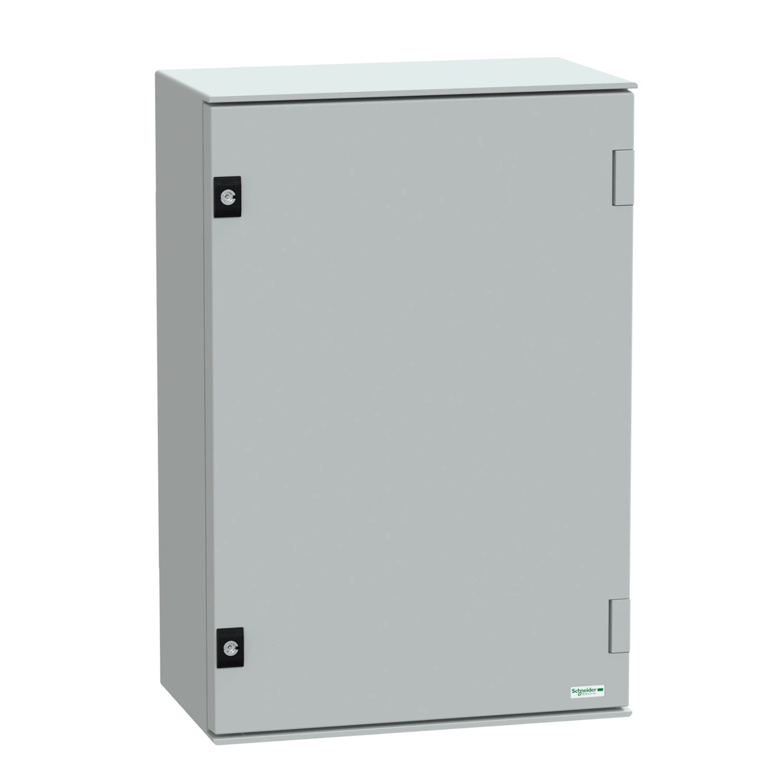 Schneider Electric Schakelkast leeg NSYPLM64G NSYPLM64G 651533