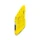 Phoenix Contact - Relais voor bewaking van veiligheidsstroomcircuits - PSR-MS60-2NO-24DC-SC 2904958 6758987