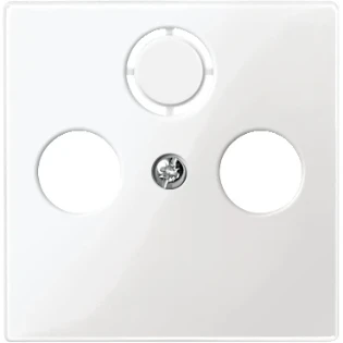Schneider Electric - Onderdeel/centraalplaat communicatie-schakelmateriaal - MTN296719 MTN296719 7367621