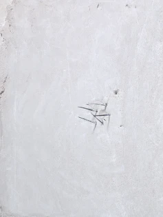 Schnabl - Deksel voor dozen voor montage in de wand/plafond - 12100 12100 7538409
