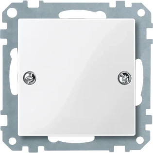 Schneider Electric - Onderdeel/centraalplaat communicatie-schakelmateriaal - 461819 461819 81309