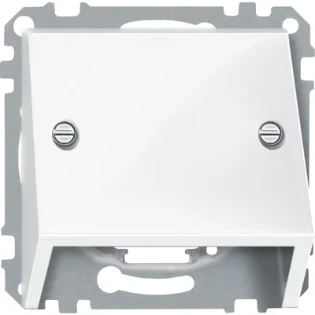 Schneider Electric - Onderdeel/centraalplaat communicatie-schakelmateriaal - 464919 464919 81313
