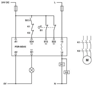Phoenix Contact - Relais voor bewaking van veiligheidsstroomcircuits - PSR-MS45-1NO-1DO-24DC-SC 2904955 901817