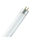 Basic T5 Short 8 W/535