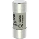 Fuse-link, low voltage, 80 A, AC 500 V, 120 kA, 22 x 58 mm, gL/gG, IEC