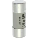 Fuse-link, low voltage, 80 A, AC 500 V, 120 kA, 22 x 58 mm, gL/gG, IEC