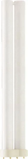 Master Pl-L 55W 4Pin Pl-L Col 840