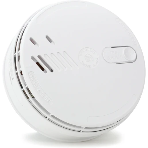 Aico Ion Smoke Alarm. 12V-24V with back-up