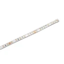 Cwood LED Strip IP68 5m Reel