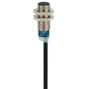 Inductive Sensor Xs6m12 L53mm Brass Sn4mm 24-240V AC/DC Cable 2M