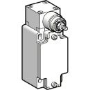 Limit Switch Body Zckj Rotary Head Without Lever Fixed 2C/O Snap M20