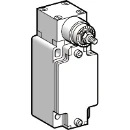 Limit Switch Body Zckj Rotary Head Without Lever Fixed 2C/O Snap M20