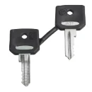 Set of 2 Keys 421E