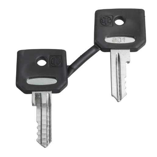 Set of 2 Keys 421E