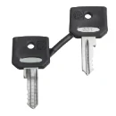 Set of 2 Keys 421E