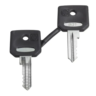Set of 2 Keys 421E