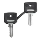 Set of 2 Keys 421E