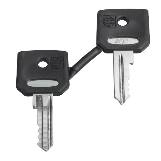 Set of 2 Keys 421E