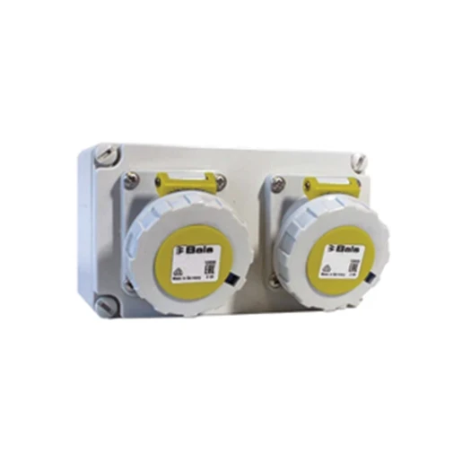 Socket on Backbox 2 Gang 16A 110V 3P IP66