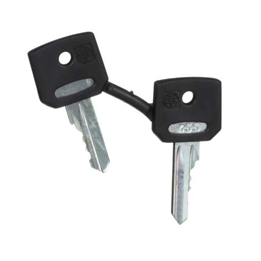 Harmony XB4 Replacement Keys for XB4 Key Switch (Set of 2)