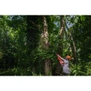 Milwaukee® M18™ FUEL™ Telescoping Pole Saw Bare Unit