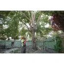 Milwaukee® M18™ FUEL™ Telescoping Pole Saw Bare Unit