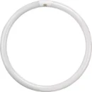 60W Circular Tube G10Q Warm White 400Mm
