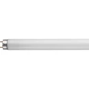 Tube T8 Triphosphor G13 18W 4000k 2ft