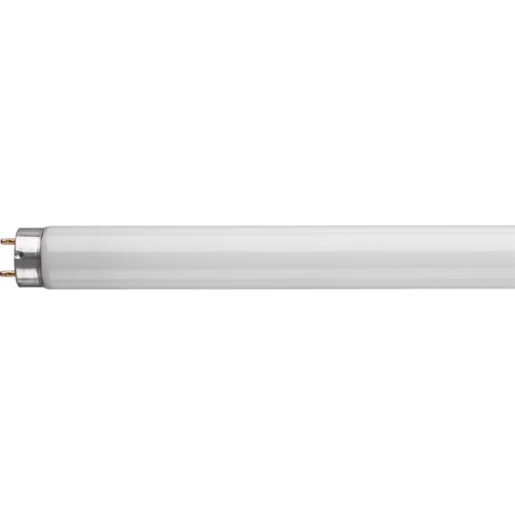 Tube T8 Triphosphor G13 18W 4000k 2ft