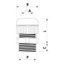 Cable Gland M20
