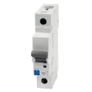 MCB SP Type D 6A 10kA