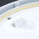 RADIALED B/HD 12W