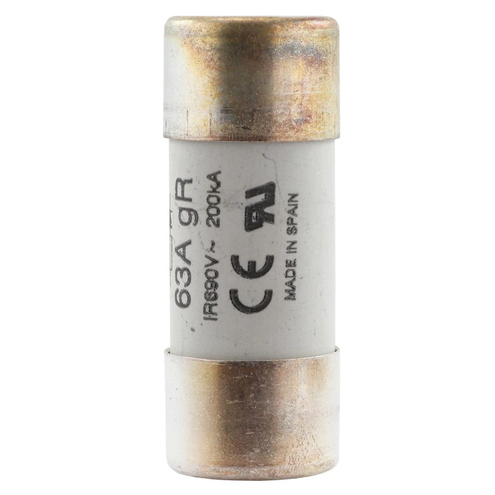 2545573 - Eaton Fuse 63A 690VAC gR 22x58 with Ind