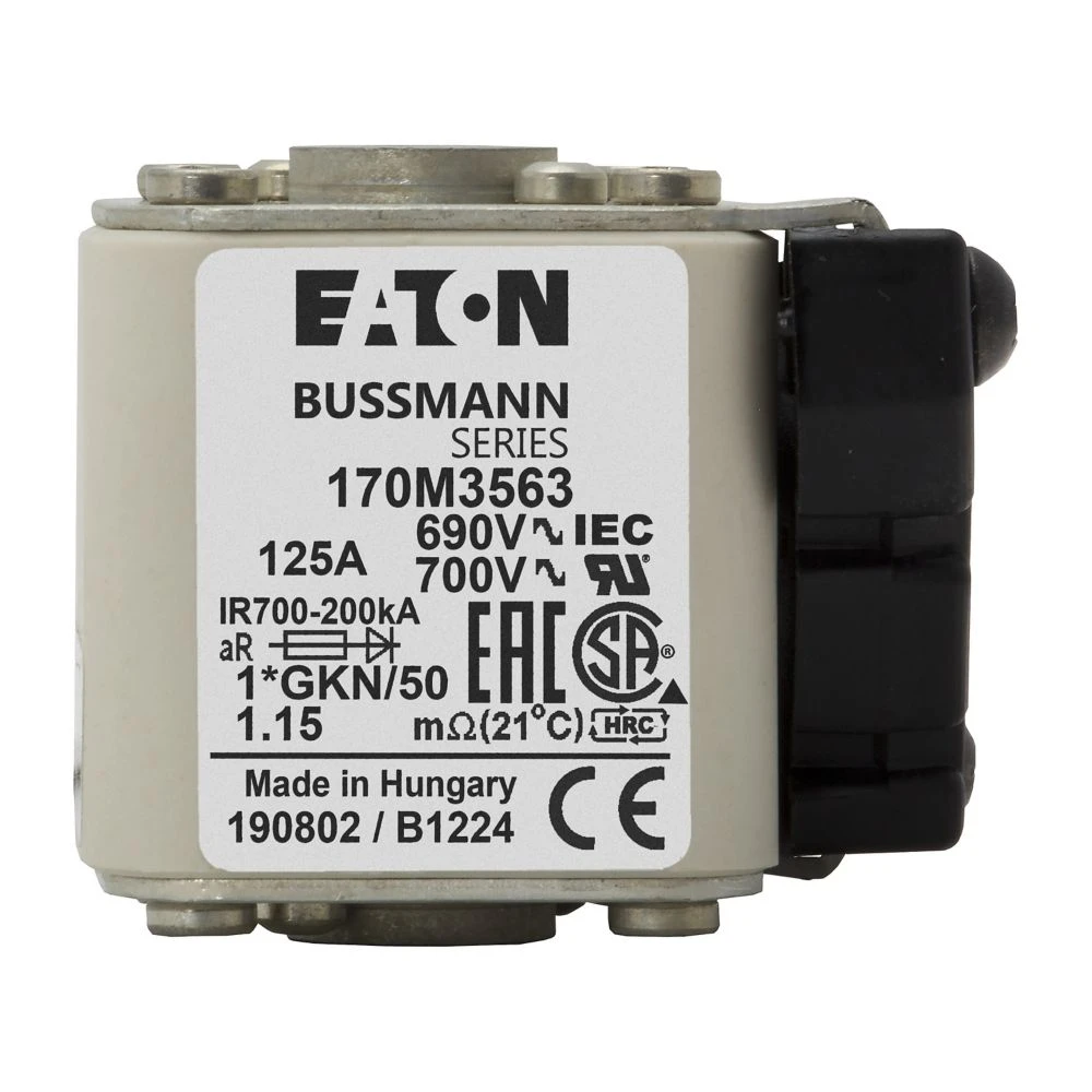 2538031 - Eaton FUSE 125A 690V 1*GKN/50 AR UC