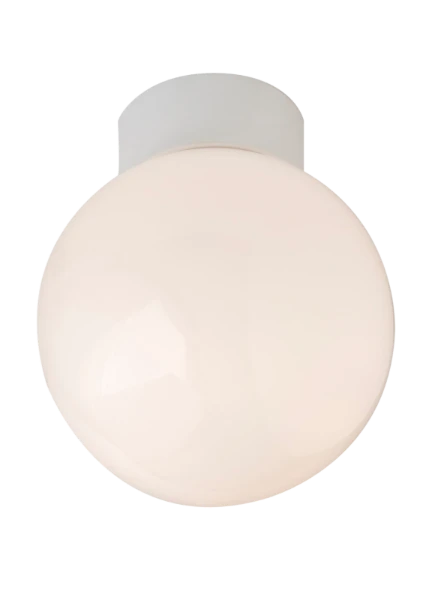 GLOBE 100W bathroom ceiling light