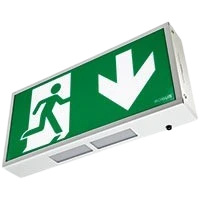 4W Exit Box