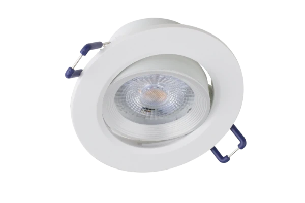 DEXTER 6W Directional Dimmable LED Downlight
