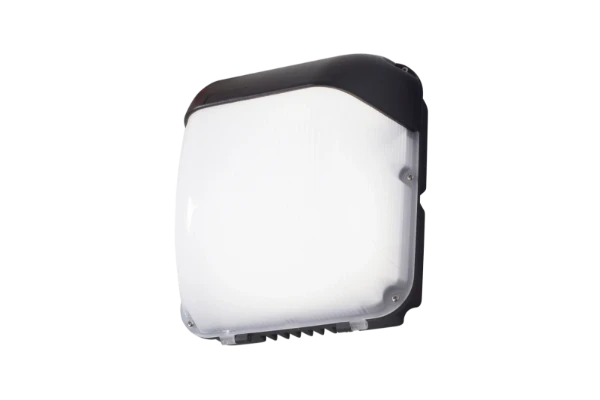 FALCON 50W LED wall light