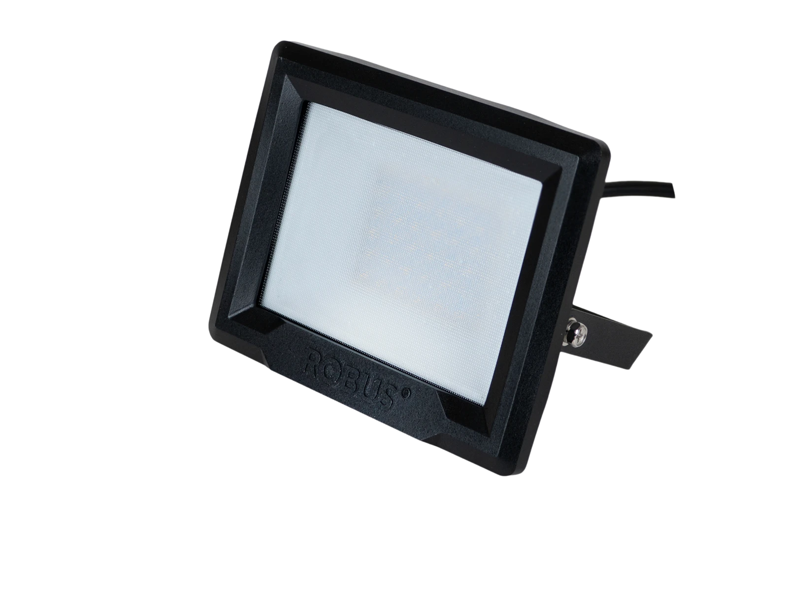 robus 50w led floodlight