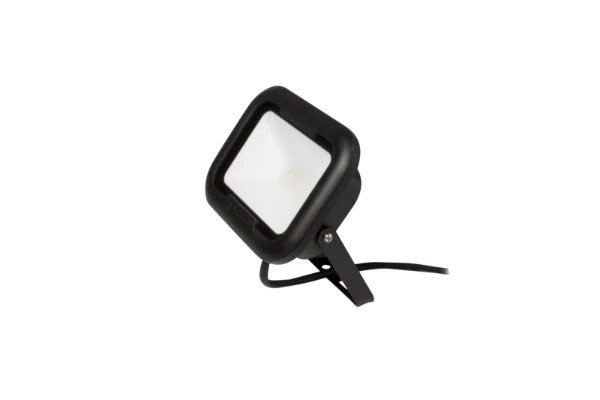 REMY 10W LED Flood Light