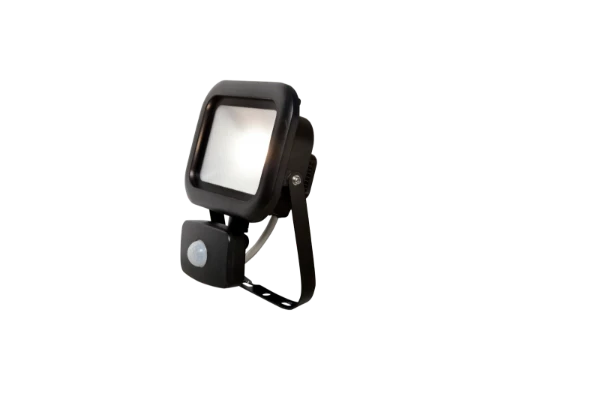REMY 10W LED Flood Light With PIR