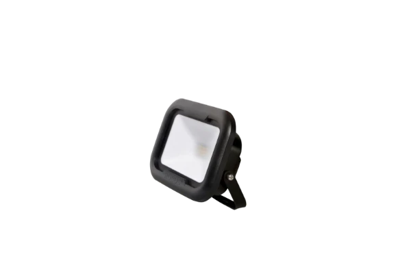 REMY 10W LED Flood Light