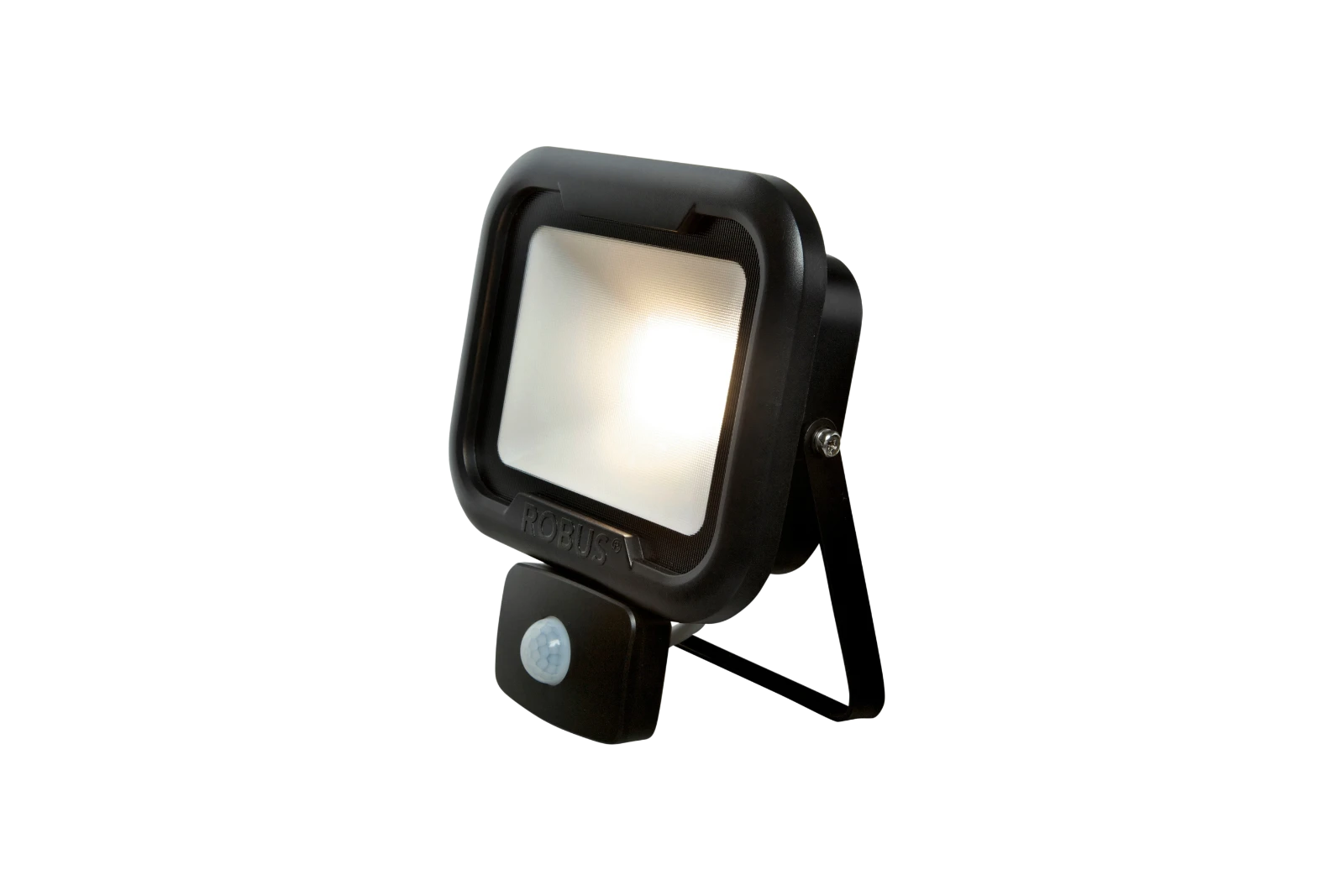 robus security light