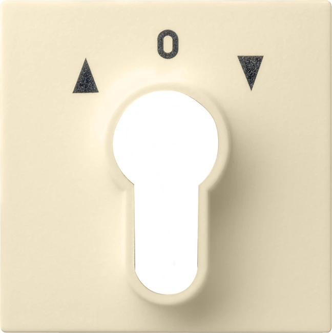 Cache / organe de commande pour installation domotique Gira System 55 Programmübergreifend